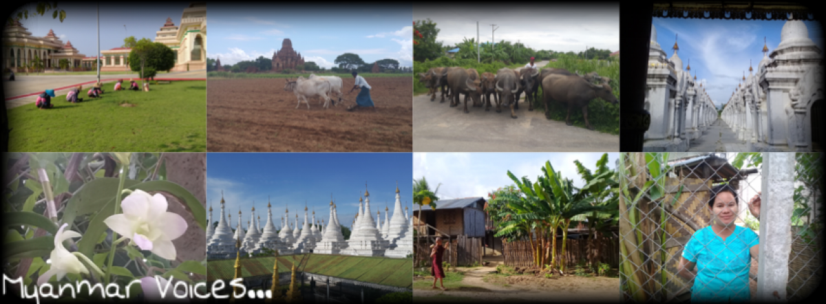Myanmar Voices